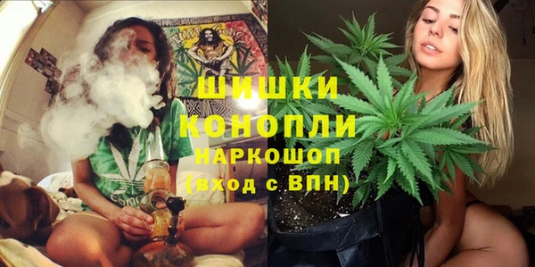 молекула духа Михайлов