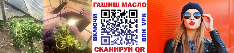 продажа наркотиков  Сегежа  ТГК гашишное масло 