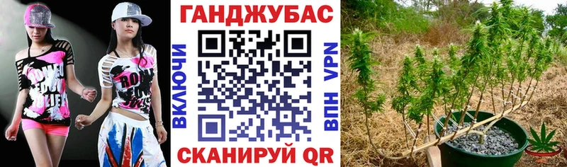 Канабис конопля Сегежа
